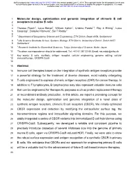 Molecular Design, Optimization and Genomic Integration of Chimeric B
