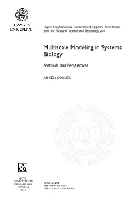 Multiscale Modeling in Systems Biology