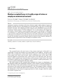 Median Occipital Fossa: Is It Really a Sign of Crime Or Simply an Anatomical Variant?