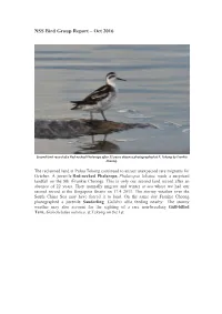 NSS Bird Group Report – Oct 2016