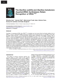 The Bacillus Subtilis and Bacillus Halodurans Aspartyl-Trna Synthetases Retain Recognition of Trna Asn