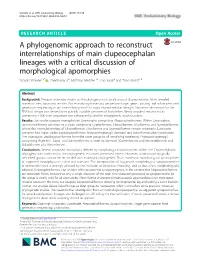 A Phylogenomic Approach to Reconstruct Interrelationships Of