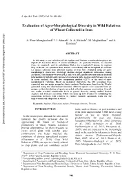Evaluation of Agro-Morphological Diversity in Wild Relatives of Wheat Collected in Iran