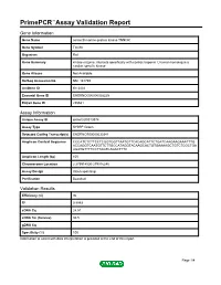 Primepcr™Assay Validation Report