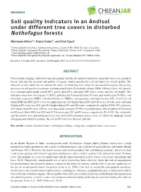Soil Quality Indicators in an Andisol Under Different Tree Covers in Disturbed Nothofagus Forests