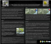 Survival Estimates of the Endangered Maui Parrotbill (Pseudonestor