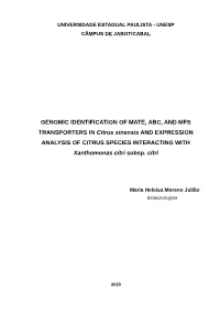 GENOMIC IDENTIFICATION of MATE, ABC, and MFS TRANSPORTERS in Citrus Sinensis and EXPRESSION ANALYSIS of CITRUS SPECIES INTERACTING with Xanthomonas Citri Subsp