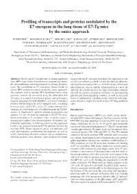 Profiling of Transcripts and Proteins Modulated by the E7 Oncogene in the Lung Tissue of E7-Tg Mice by the Omics Approach