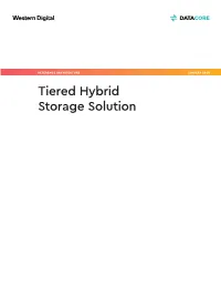 Reference Architecture: Tiered Hybrid Storage Solution Using Datacore