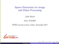 Sparse Estimation for Image and Vision Processing