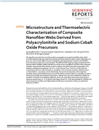 Microstructure and Thermoelectric Characterization of Composite