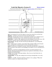 Label the Digestive System #1 Human Anatomy Read the Definitions Below, Then Label the Digestive System Anatomy Diagram