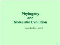 Phylogeny and Molecular Evolution