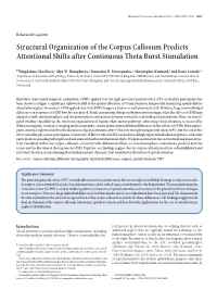Structural Organization of the Corpus Callosum Predicts Attentional Shifts After Continuous Theta Burst Stimulation