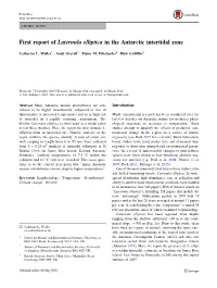 First Report of Laternula Elliptica in the Antarctic Intertidal Zone
