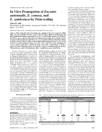 In Vitro Propagation of Eucomis Autumnalis, E. Comosa, and E