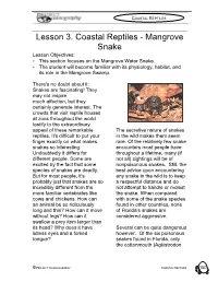 Lesson 3. Coastal Reptiles - Mangrove Snake Lesson Objectives: • This Section Focuses on the Mangrove Water Snake