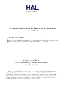 Signaling Dynamics During Vertebrate Segmentation Alexis Hubaud