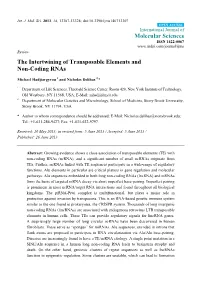 The Intertwining of Transposable Elements and Non-Coding Rnas