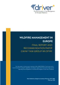 Wildfire Management in Europe Final Report and Recommendation Paper Cmine Task Group Wildfire