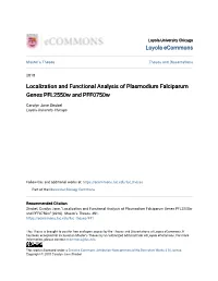 Localization and Functional Analysis of Plasmodium Falciparum Genes Pfl2550w and Pff0750w