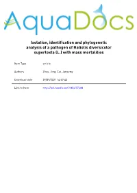 Isolation, Identification and Phylogenetic Analysis of a Pathogen of Haliotis Diversicolor Supertexta (L.) with Mass Mortalities