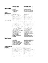 Spp List.Xlsx