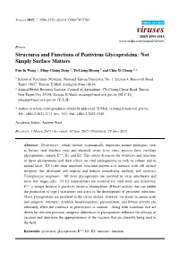 Structures and Functions of Pestivirus Glycoproteins: Not Simply Surface Matters