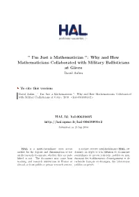 ' I'm Just a Mathematician