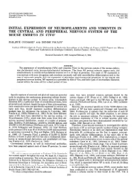 INITIAL EXPRESSION of NEUROFILAMENTS and VIMENTIN in the CENTRAL and PERIPHERAL NERVOUS SYSTEM of the MOUSE EMBRYO in Vivol