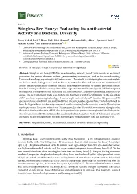Stingless Bee Honey: Evaluating Its Antibacterial Activity and Bacterial Diversity