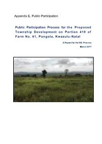 Appendix E. Public Participation Process.Pdf