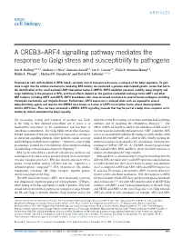 ARF4 Signalling Pathway Mediates the Response to Golgi Stress and Susceptibility to Pathogens