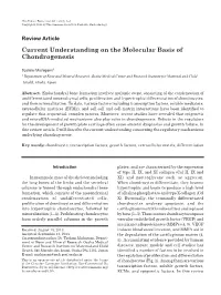 Current Understanding on the Molecular Basis of Chondrogenesis