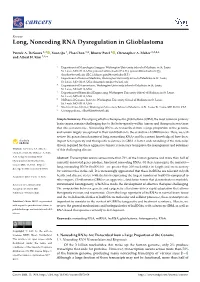 Long, Noncoding RNA Dysregulation in Glioblastoma