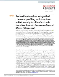 Antioxidant Evaluation-Guided Chemical Profiling and Structure