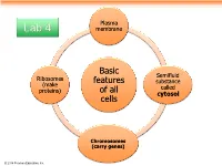 Basic Features of All Cells