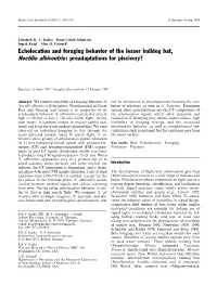 Echolocation and Foraging Behavior of the Lesser Bulldog Bat, Noctilio Albiventris : Preadaptations for Piscivory?