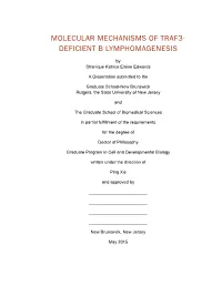 Molecular Mechanisms of Traf3- Deficient B Lymphomagenesis