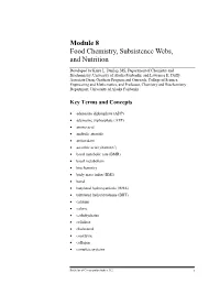 BCS312 Module 8