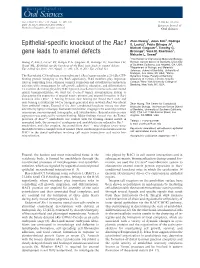 Epithelial-Specific Knockout of the Rac1 Gene Leads to Enamel Defects