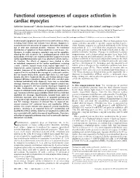 Functional Consequences of Caspase Activation in Cardiac Myocytes