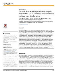 Genome Anatomy of Pyrenochaeta Unguis-Hominis UM 256, a Multidrug Multilocus Phylogenetic Analysis of the Genus Pyrenochaeta