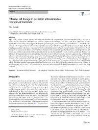 Follicular Cell Lineage in Persistent Ultimobranchial Remnants of Mammals