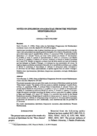 Notes on Epilobium (Onagraceae) from the Western Mediterranean
