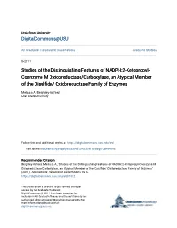 Studies of the Distinguishing Features of NADPH:2-Ketopropyl-Coenzyme