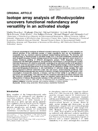 Isotope Array Analysis of Rhodocyclales Uncovers Functional Redundancy and Versatility in an Activated Sludge