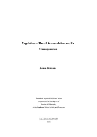 Regulation of Runx2 Accumulation and Its Consequences
