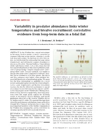 Variability in Predator Abundance Links Winter Temperatures and Bivalve Recruitment: Correlative Evidence from Long-Term Data in a Tidal Flat