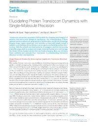 Elucidating Protein Translocon Dynamics with Single-Molecule Precision